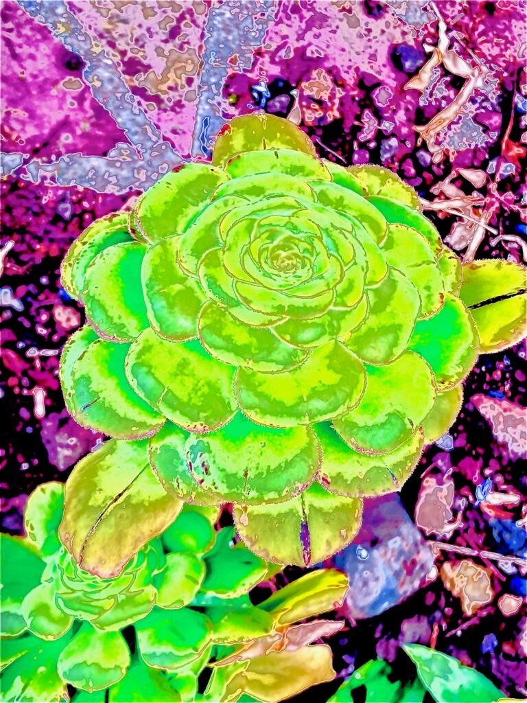 Unknown-2