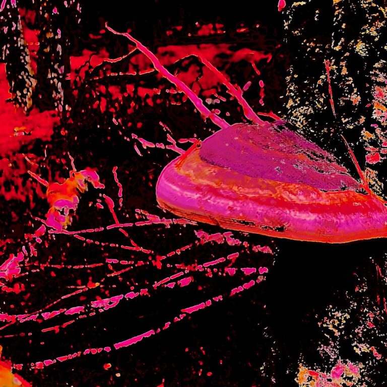Unknown-5